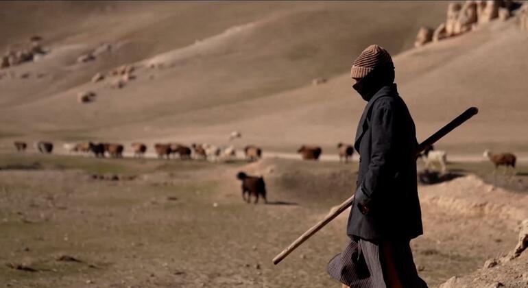 Афганистан переживает гуманитарный кризис.